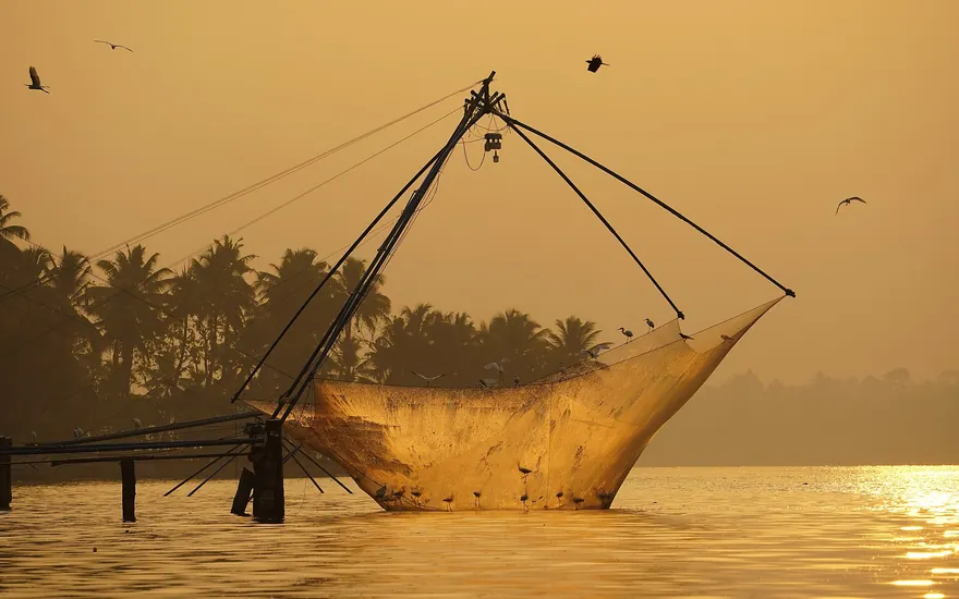 Chinese Fishing Net Raising Birds Sunrise Ashtamudi Kollam Mar22 A7C 01784
