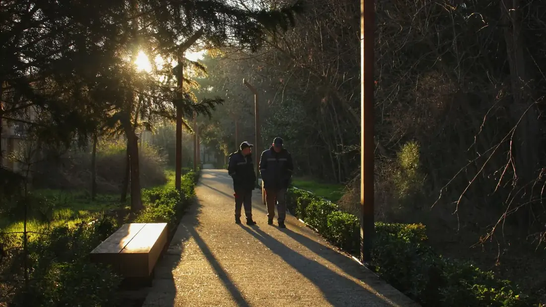 Two people walking together along a tree-lined path in early light